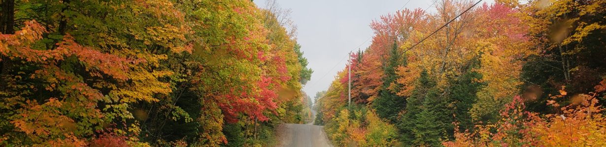 Minnicock Lake Road